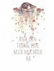 Anh Đến Trong Cơn Mưa Hoa Mùa Hạ