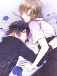 Tám Lần Kỳ Diệu Nhân Sinh